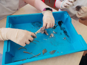 Kilglass National School, Ahascragh, Ballinasloe, Galway