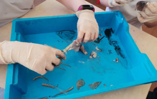 Kilglass National School, Ahascragh, Ballinasloe, Galway