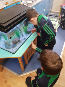 Kilglass National School, Ahascragh, Ballinasloe, Galway