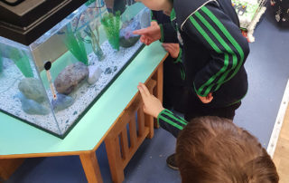 Kilglass National School, Ahascragh, Ballinasloe, Galway