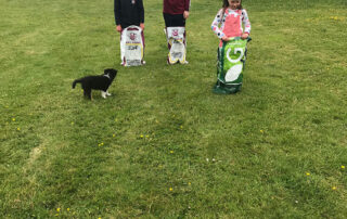 Virtual Sports Day 2020