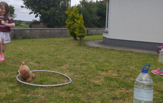 Virtual Sports Day 2020